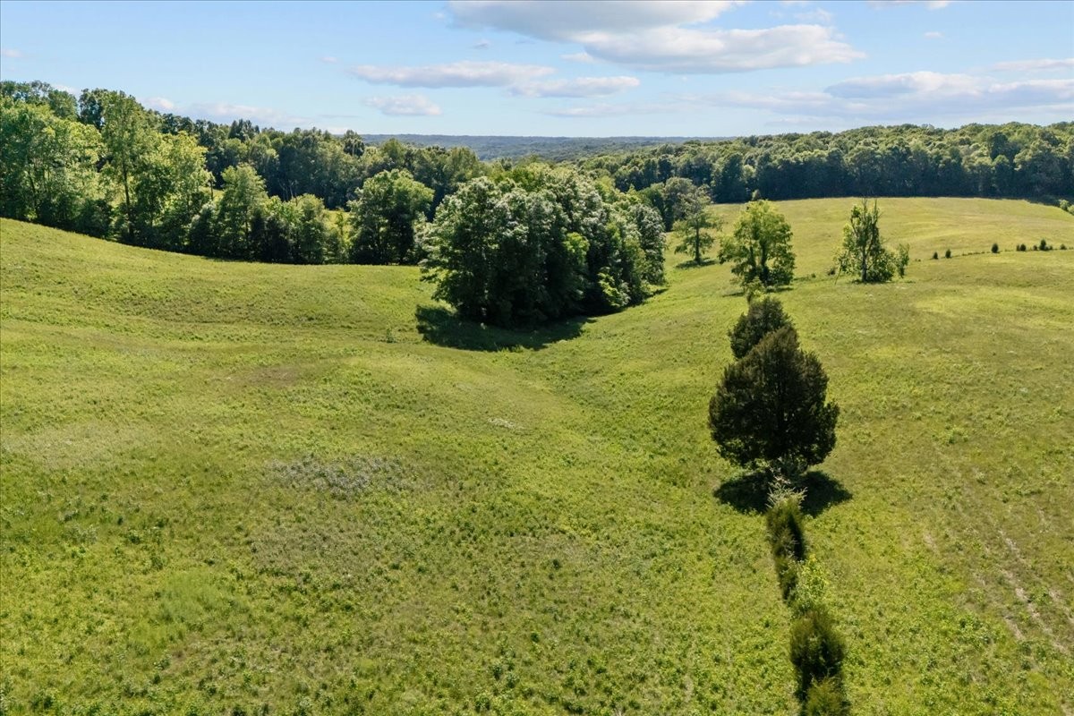 2440 Maple Grove Road Dickson, TN 37055 - Photo 70 of 87