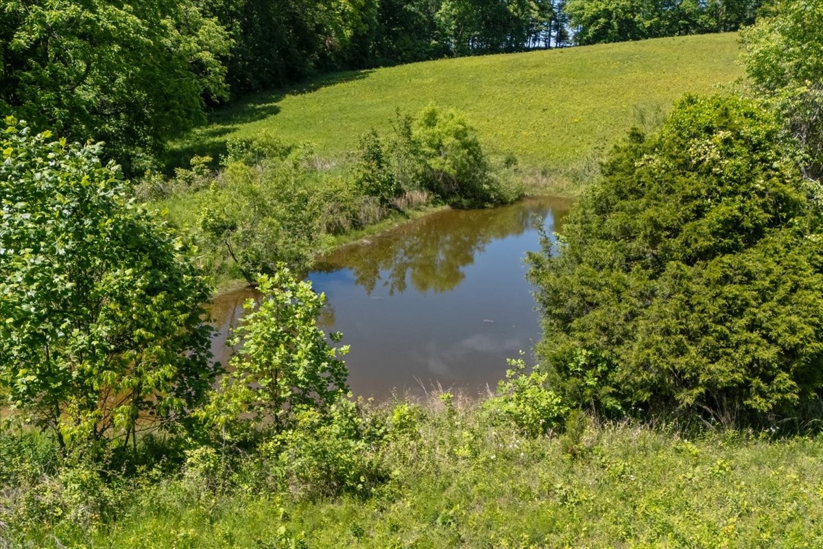 2440 Maple Grove Road Dickson, TN 37055 - Photo 78 of 87 a view of a lake with a yard and large trees