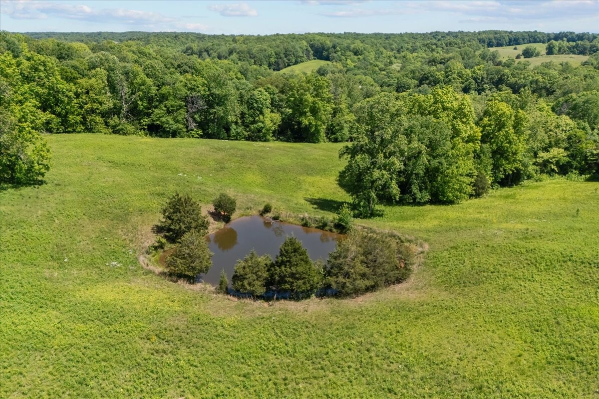 2440 Maple Grove Road Dickson, TN 37055 - Photo 79 of 87