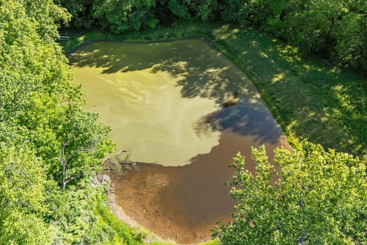 2440 Maple Grove Road Dickson, TN 37055 - Photo 80 of 87 a view of a lake in a forest