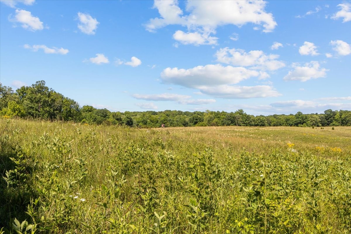 2440 Maple Grove Road Dickson, TN 37055 - Photo 82 of 87