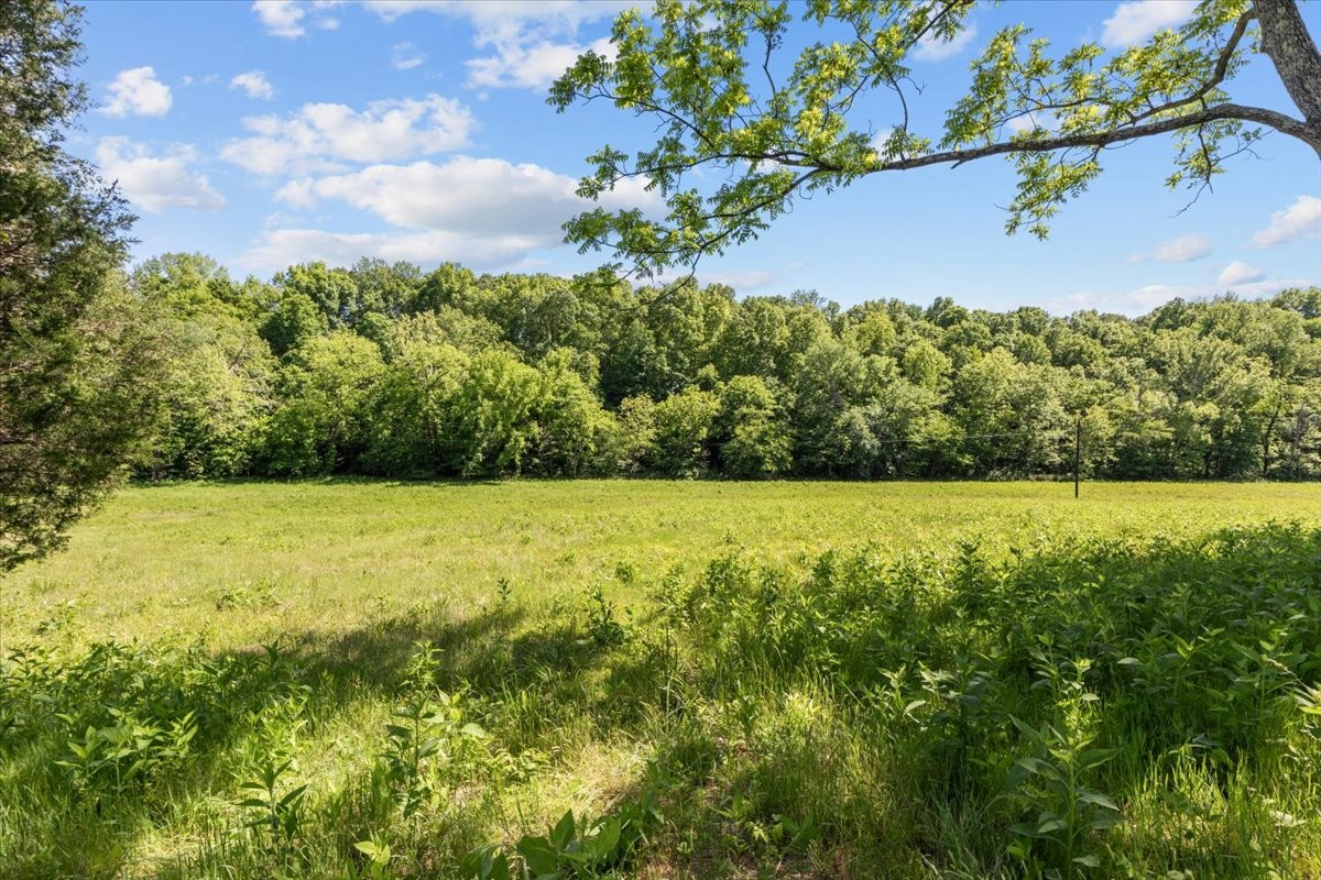 2440 Maple Grove Road Dickson, TN 37055 - Photo 83 of 87