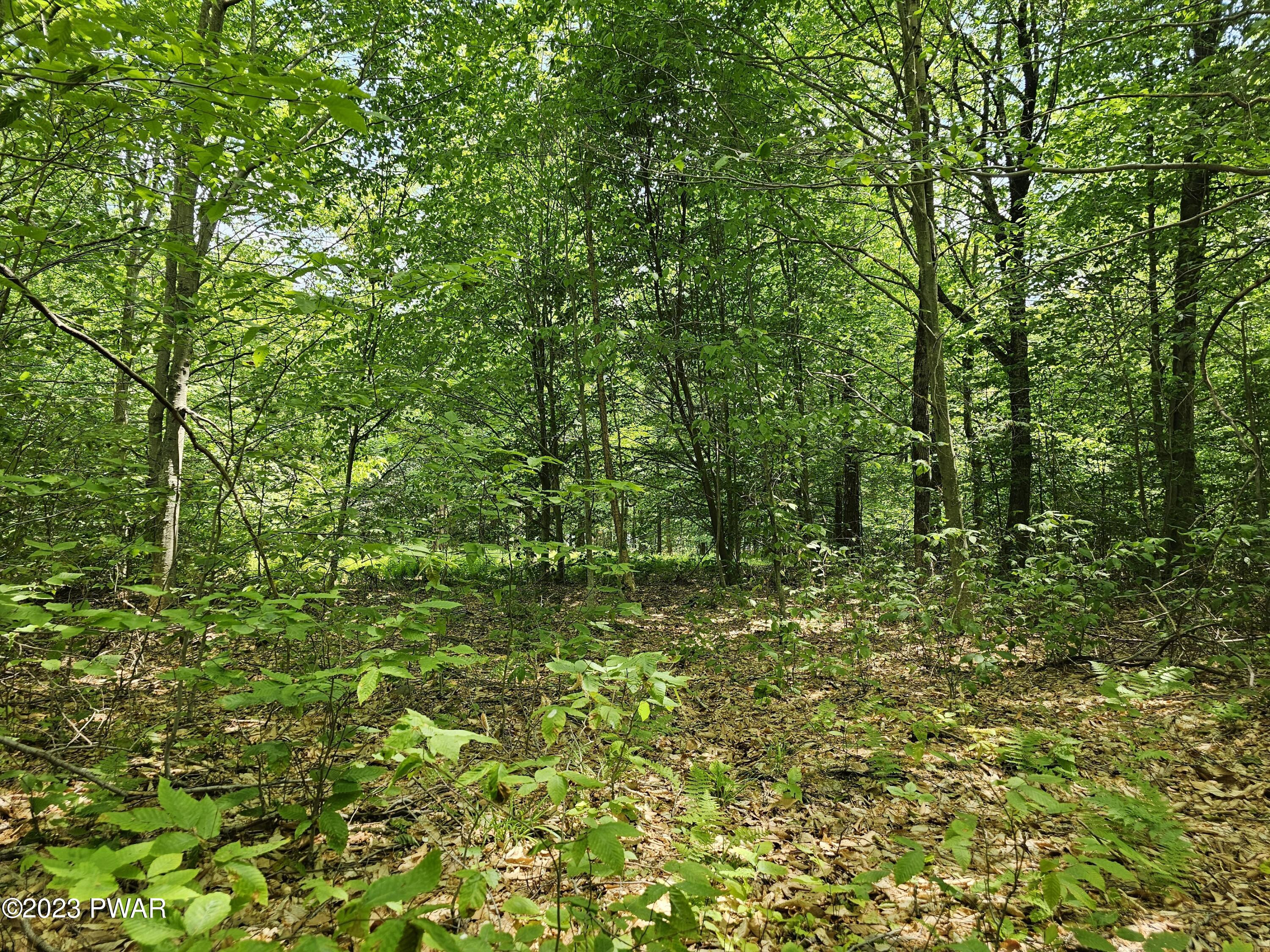 Lot 69 Stonegate Road Equinunk, PA 18417 - Photo 11 of 29
