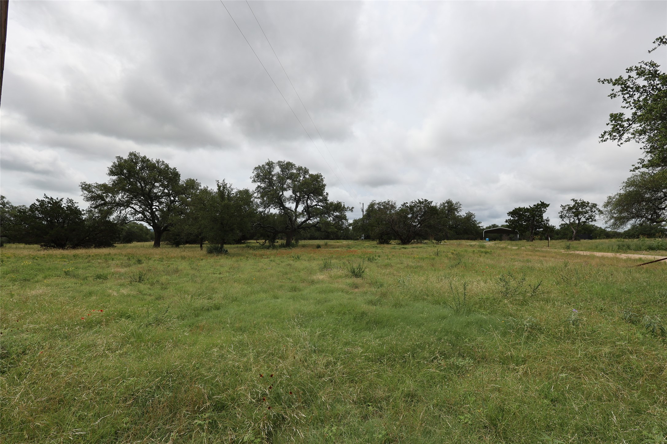 1399 Klett Ranch Road Johnson City, TX 78636 - Photo 15 of 23 a view of yard with green space