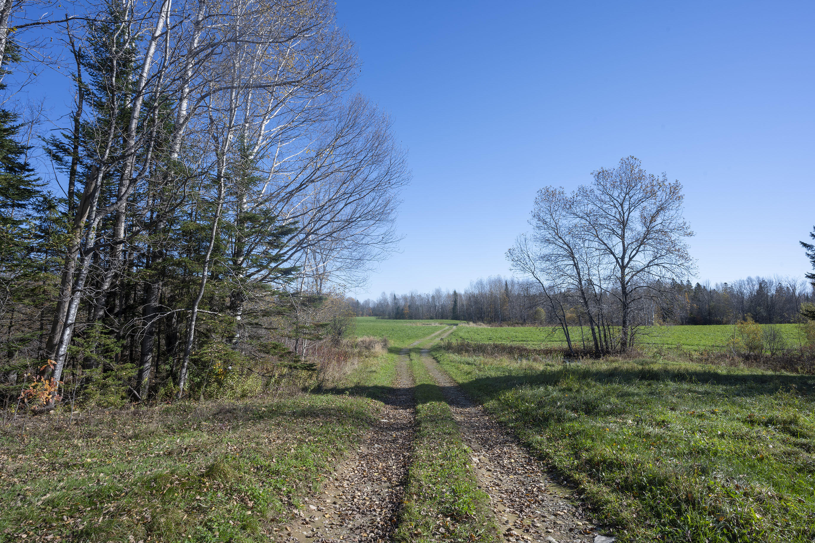 94 Town Line Road Houlton, ME 04730 - Photo 52 of 55 Looking to Ride?