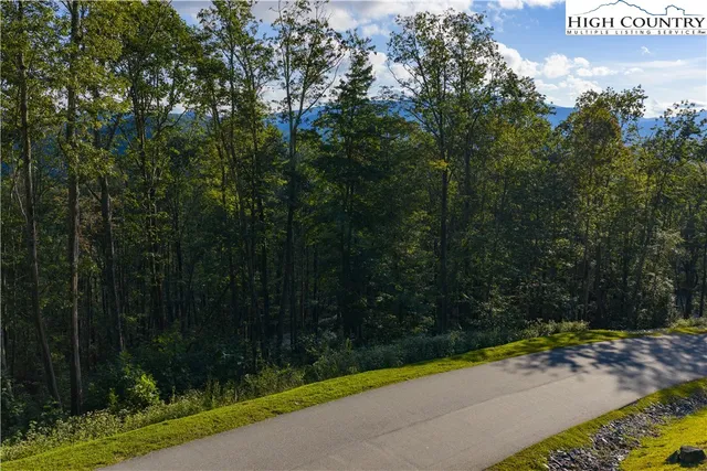 a view of a street with a bench and trees