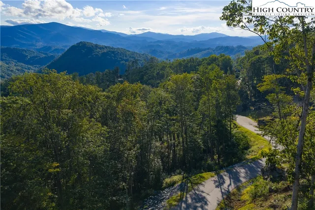 a view of a lush green hillside and a mountain