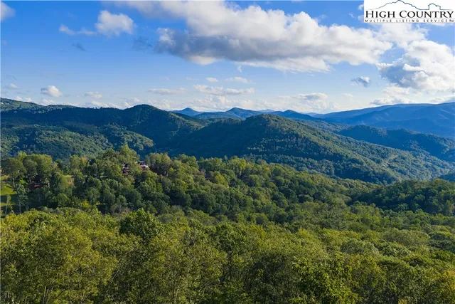 a view of a lot of trees in a field