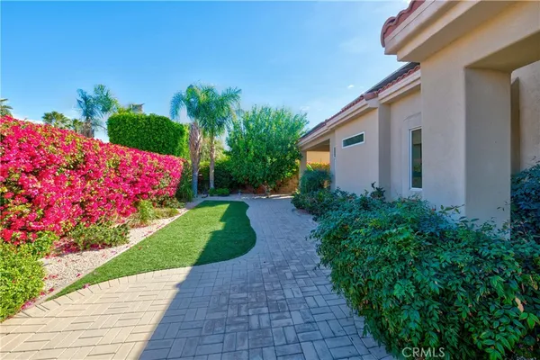 a view of a backyard with potted plants