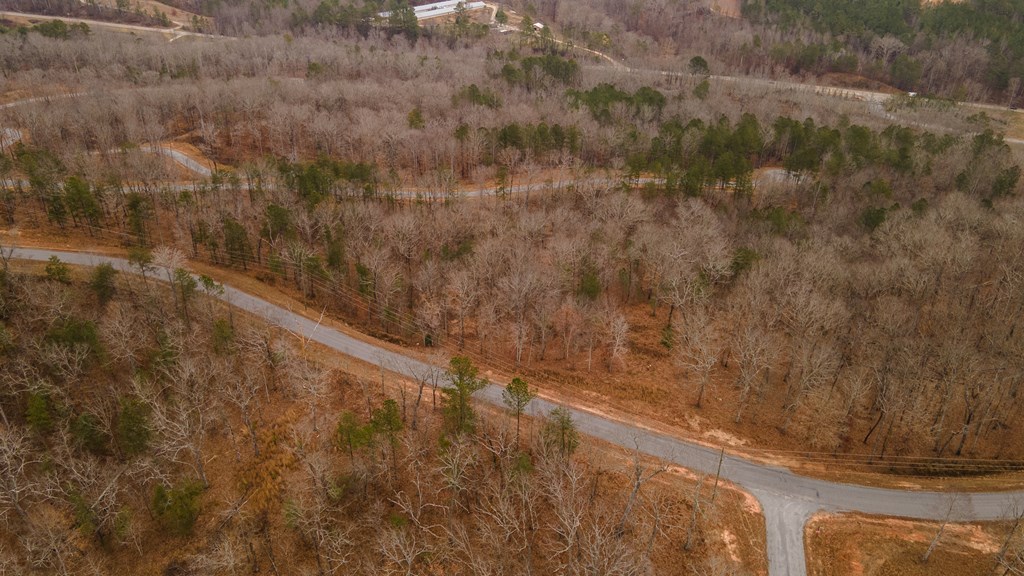 Lot 5 Blalock Mountain Road Talking Rock, GA 30175 - Photo 9 of 22