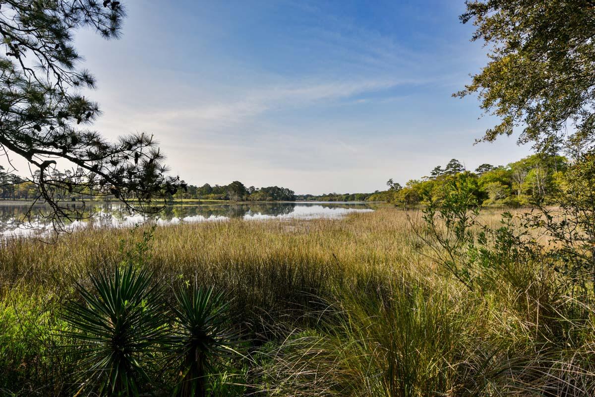 6119 Bears Bluff Road Wadmalaw Island, SC 29487 - Photo 28 of 64 DSC_7835