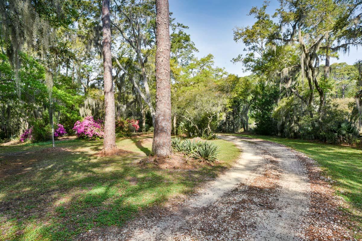 6119 Bears Bluff Road Wadmalaw Island, SC 29487 - Photo 30 of 64 DSC_7861