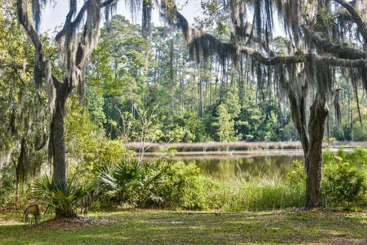 6119 Bears Bluff Road Wadmalaw Island, SC 29487 - Photo 33 of 64 DSC_7864