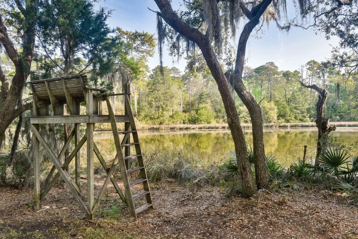 6119 Bears Bluff Road Wadmalaw Island, SC 29487 - Photo 34 of 64 DSC_7867