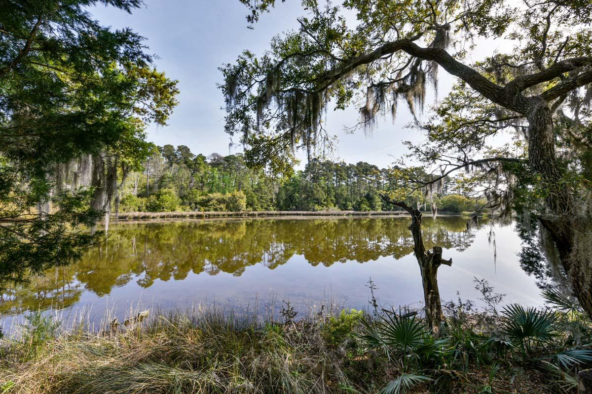 6119 Bears Bluff Road Wadmalaw Island, SC 29487 - Photo 35 of 64 DSC_7918