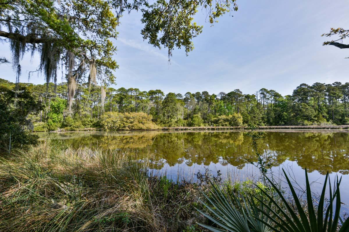 6119 Bears Bluff Road Wadmalaw Island, SC 29487 - Photo 36 of 64 DSC_7922