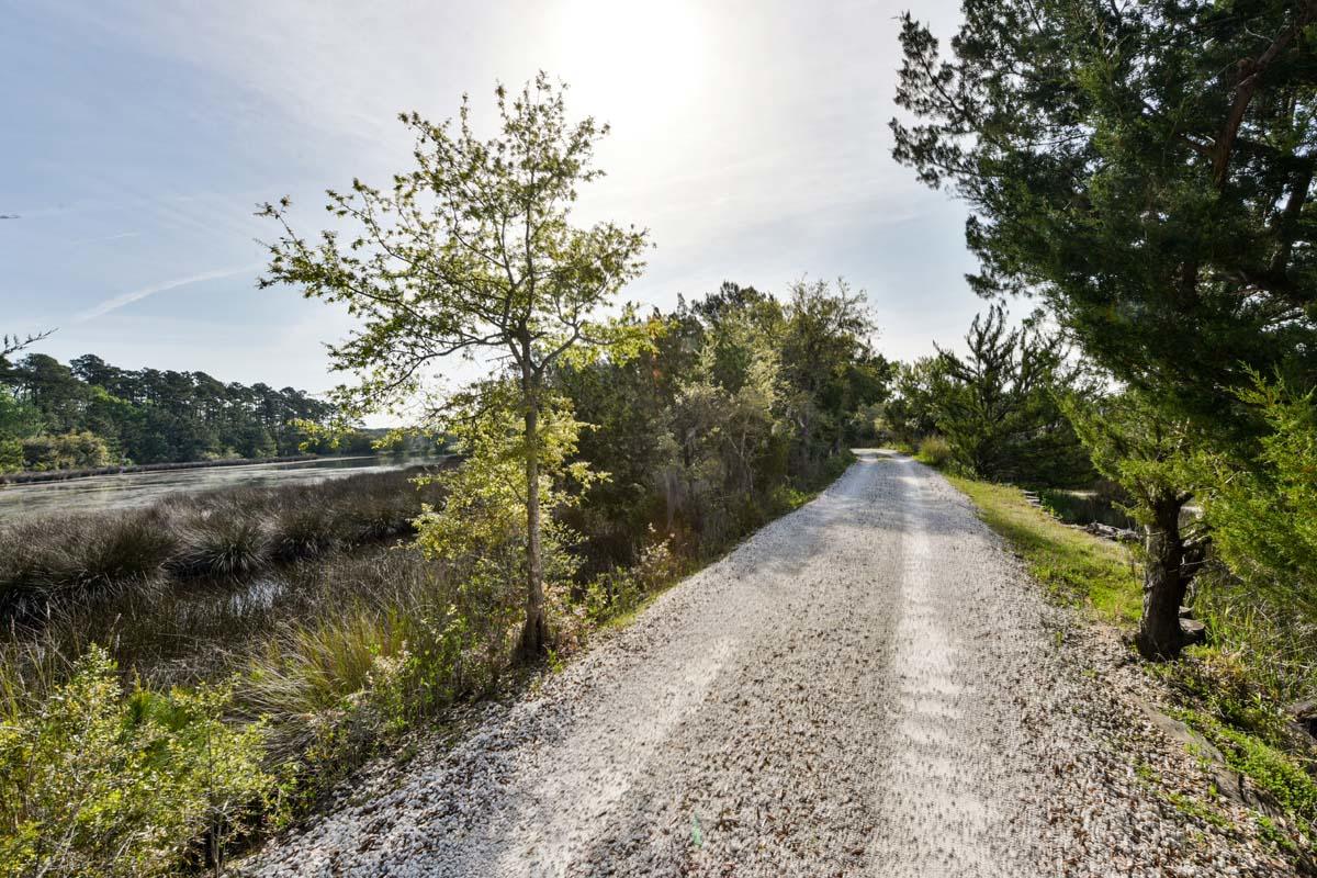 6119 Bears Bluff Road Wadmalaw Island, SC 29487 - Photo 38 of 64 DSC_7910