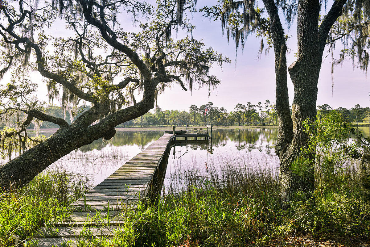 6119 Bears Bluff Road Wadmalaw Island, SC 29487 - Photo 5 of 64 DSC_7769