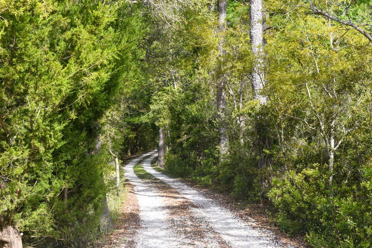 6119 Bears Bluff Road Wadmalaw Island, SC 29487 - Photo 41 of 64 DSC_7889
