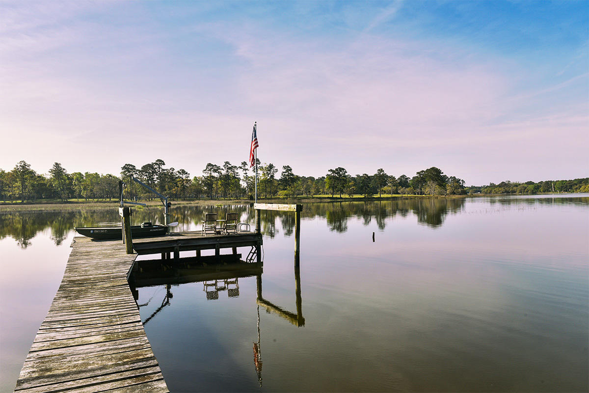 6119 Bears Bluff Road Wadmalaw Island, SC 29487 - Photo 6 of 64 DSC_7776