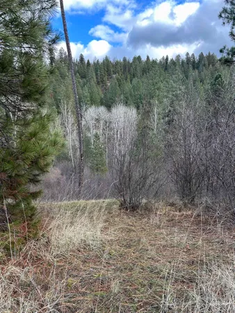 $199,900 | Lot 13-blk Creekside Ct Garden Valley, Garden Valley, ID 83622