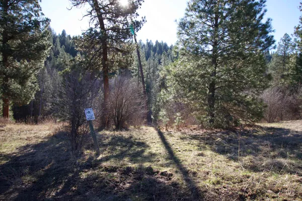 $199,900 | Lot 13-blk Creekside Ct Garden Valley, Garden Valley, ID 83622