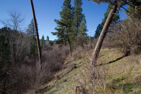 $199,900 | Lot 13-blk Creekside Ct Garden Valley, Garden Valley, ID 83622