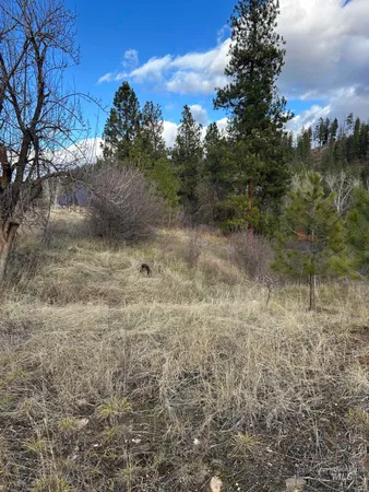 $199,900 | Lot 13-blk Creekside Ct Garden Valley, Garden Valley, ID 83622