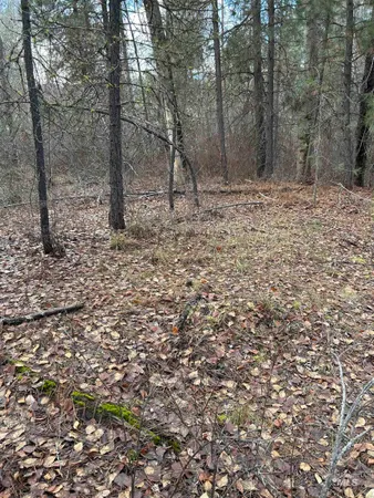 $199,900 | Lot 13-blk Creekside Ct Garden Valley, Garden Valley, ID 83622