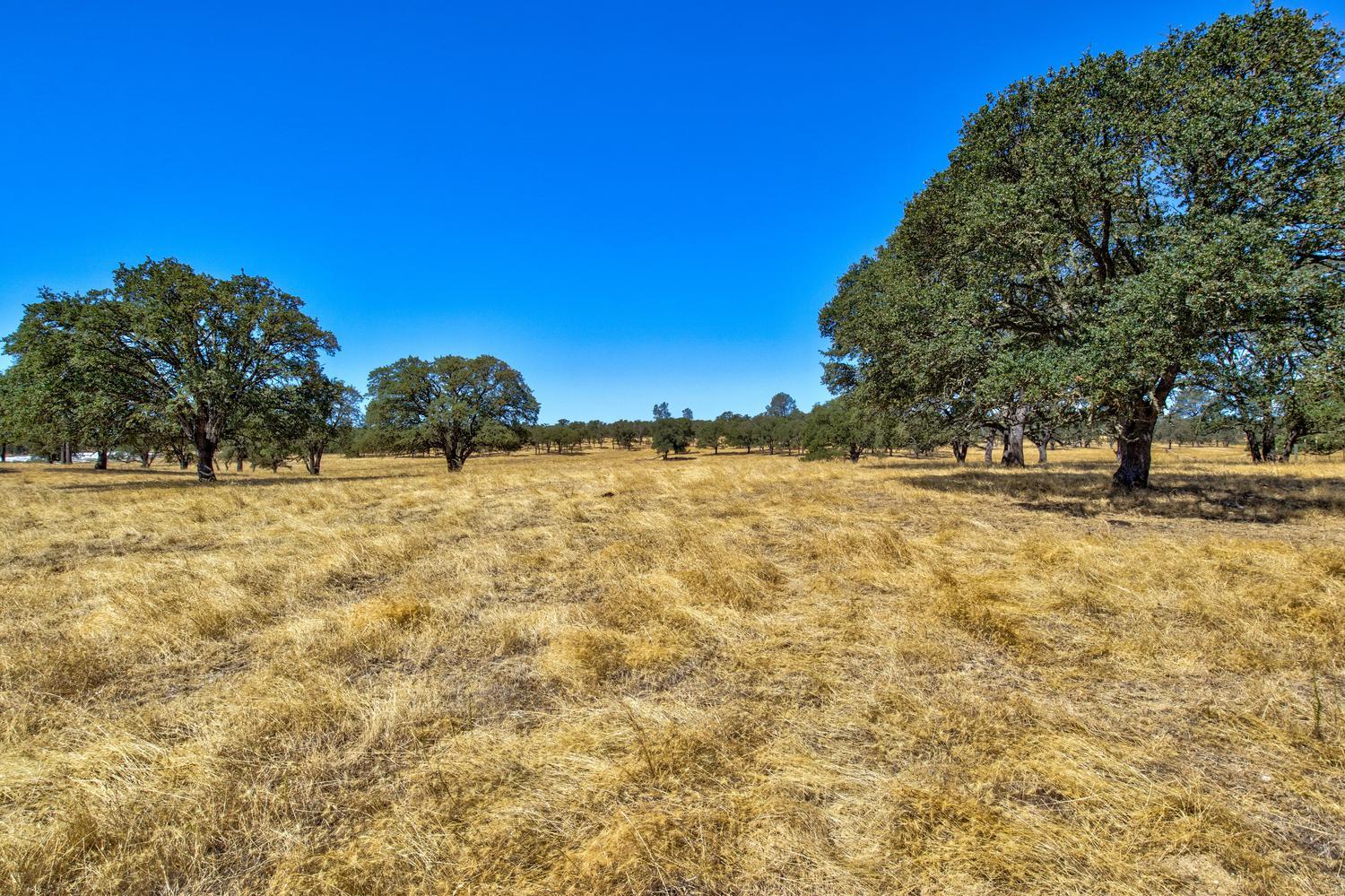 12550 Hogan Dam Road Farmington, CA 95230 - Photo 58 of 75