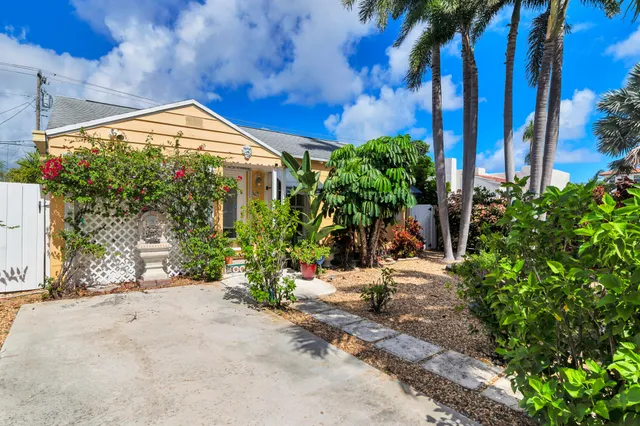 a view of bushes and pathway
