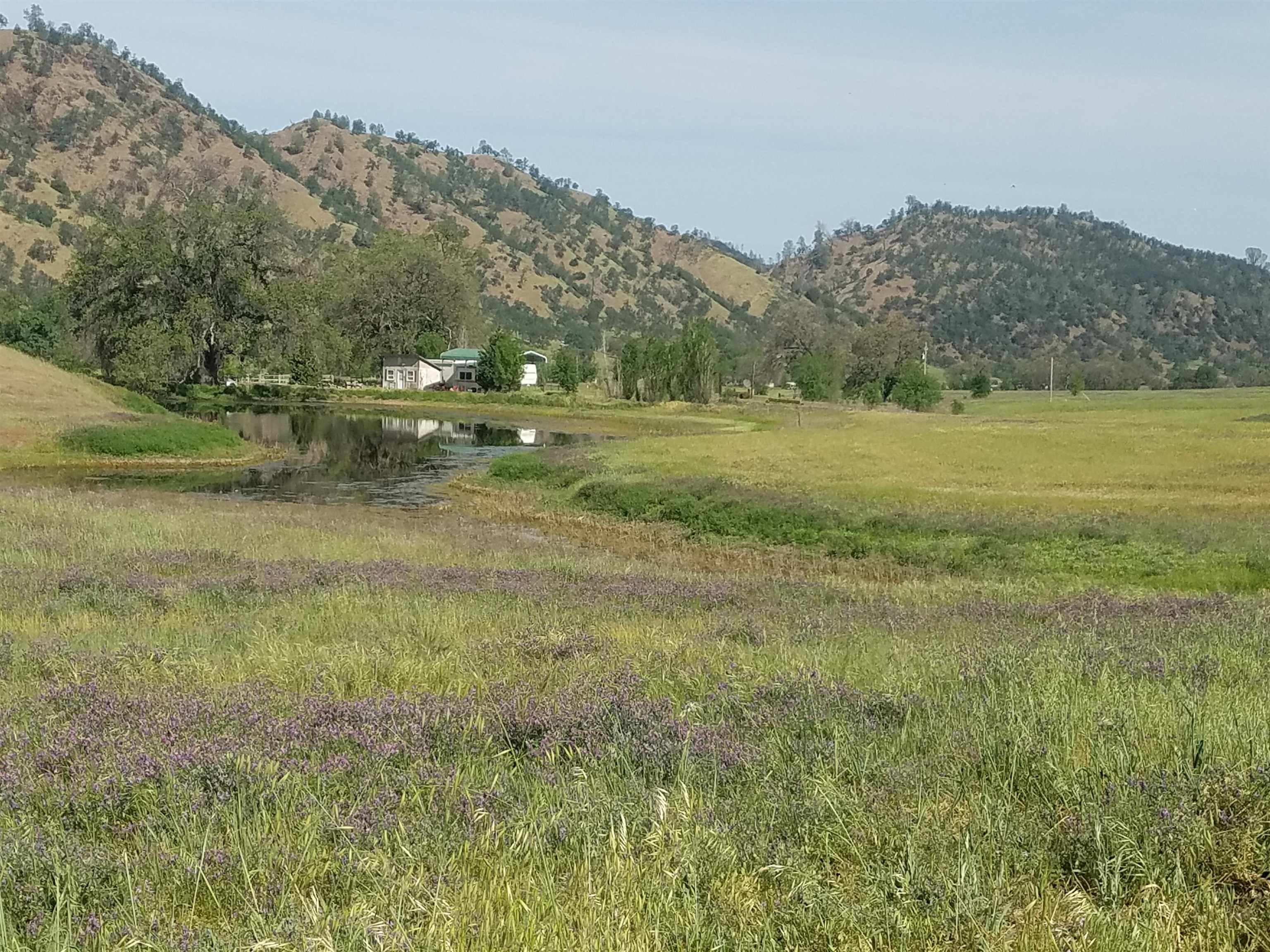 0 High Flat Road Red Bluff, CA 96080 - Photo 5 of 15