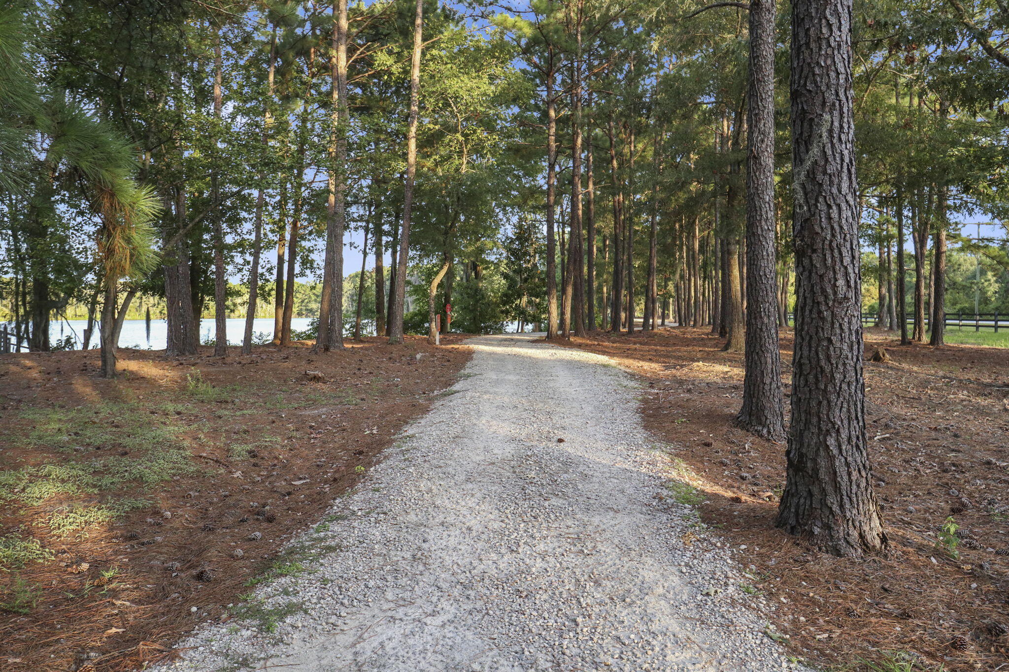1020 Arrowwood Way Summerville, SC 29485 - Photo 51 of 58 95-web-or-mls-IMG_1931