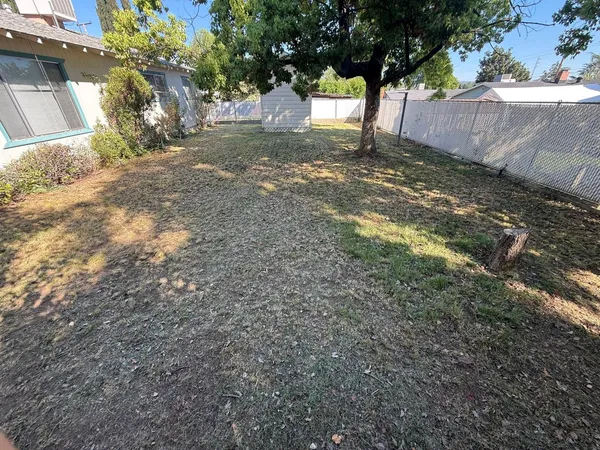 a view of a yard with a tree