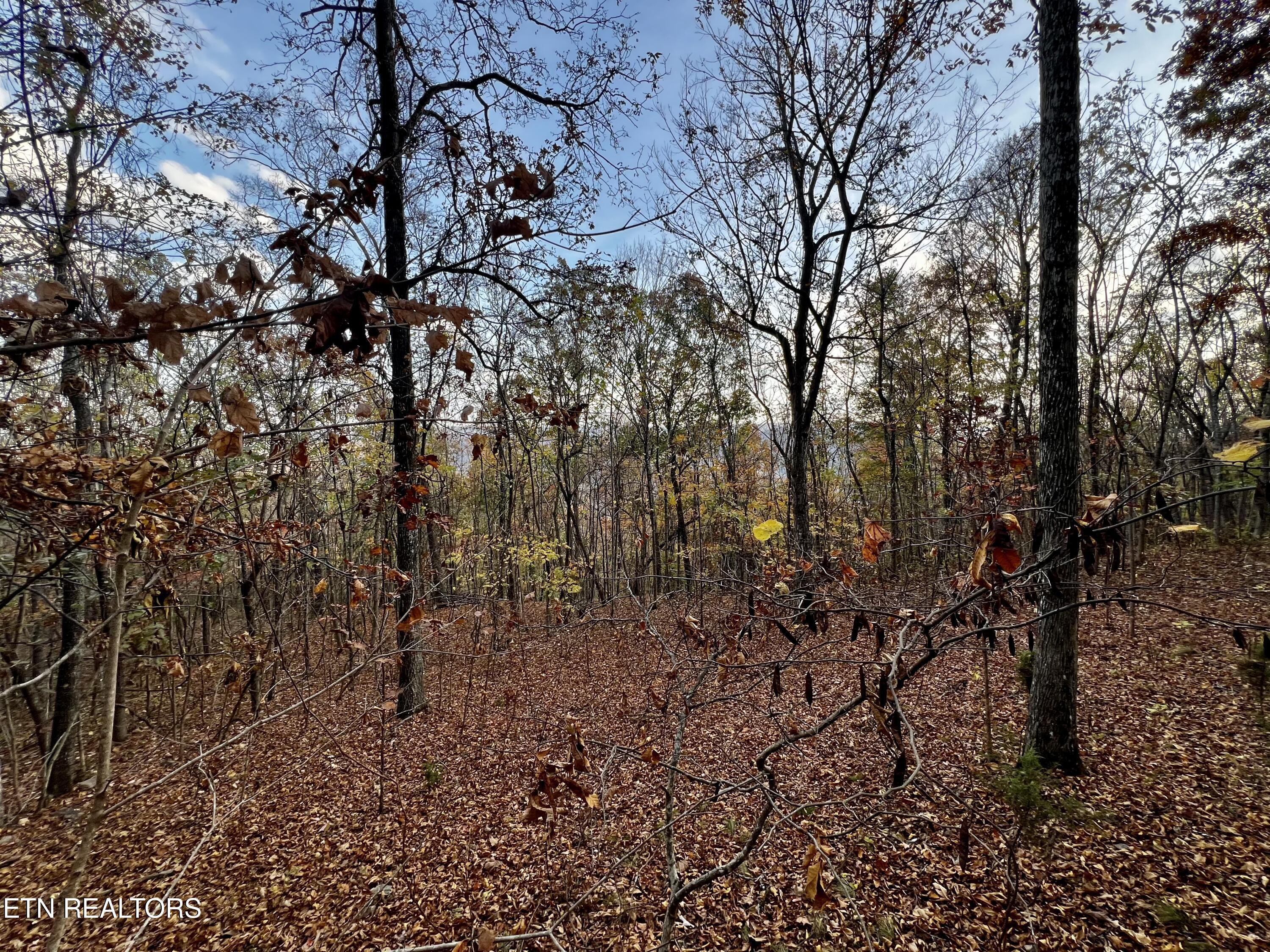 Lot 675 Chimney Rock Road New Tazewell, TN 37825 - Photo 1 of 44 Lot 675