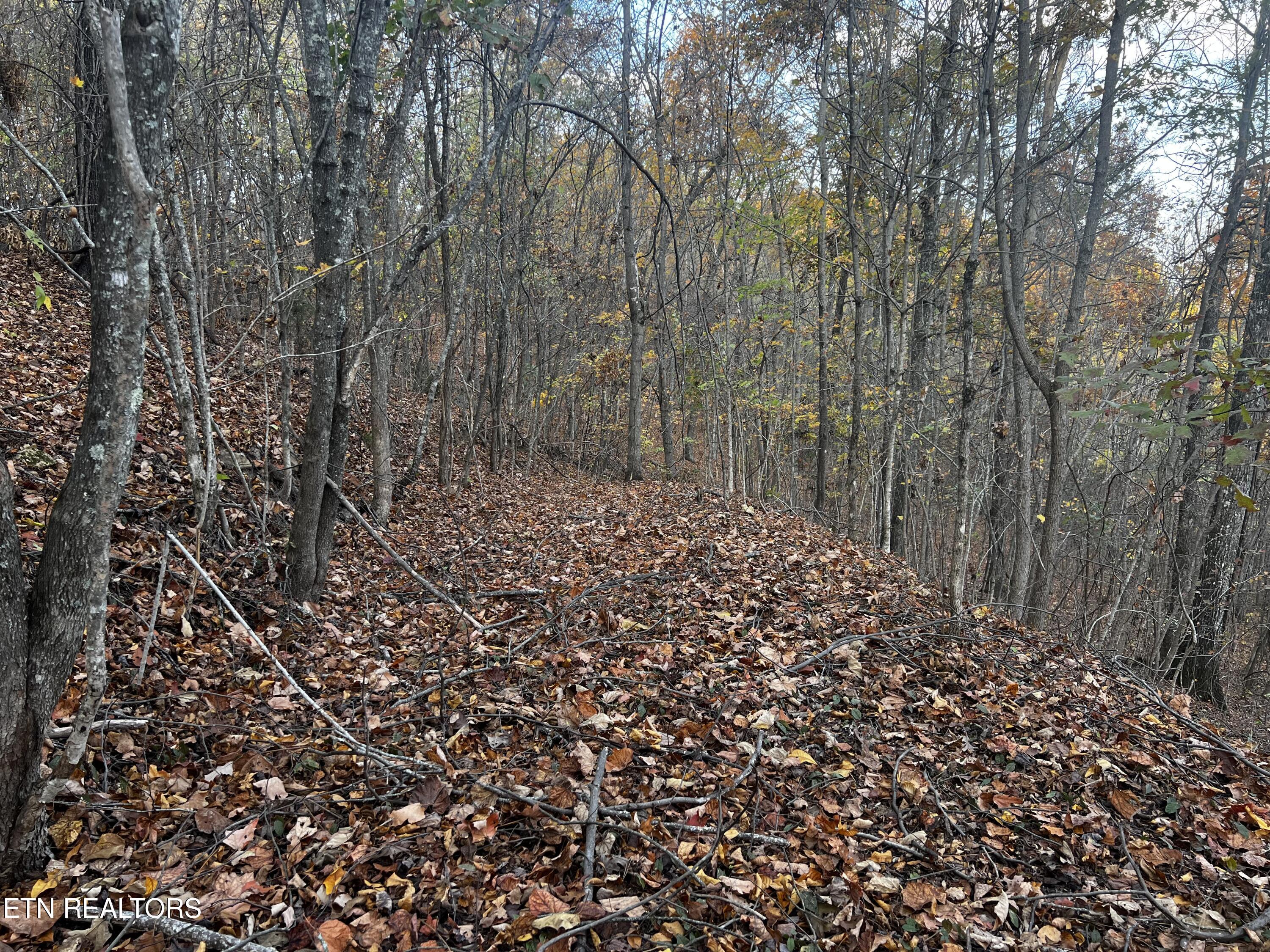 Lot 675 Chimney Rock Road New Tazewell, TN 37825 - Photo 12 of 44 Lot 675