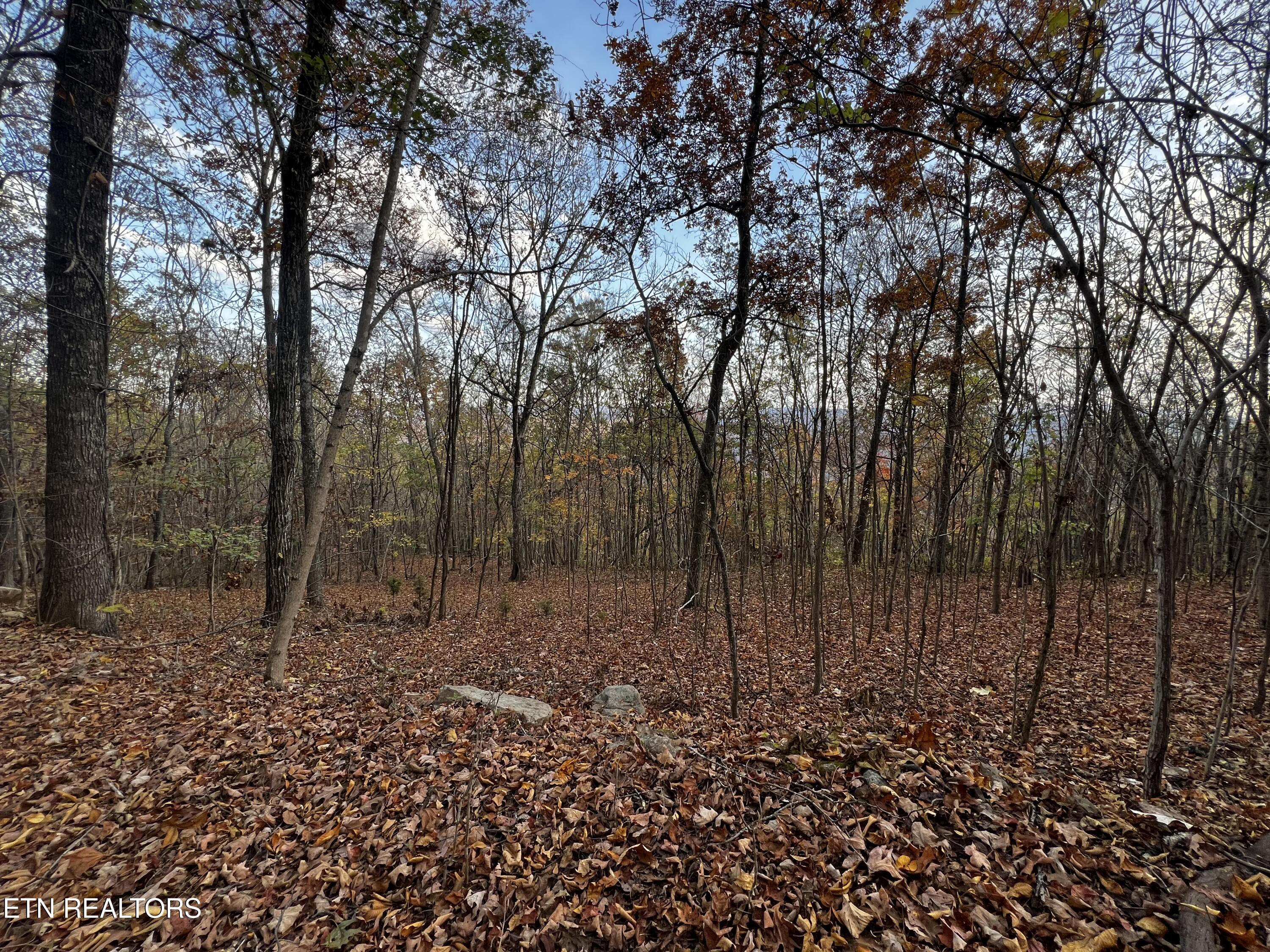 Lot 675 Chimney Rock Road New Tazewell, TN 37825 - Photo 13 of 44 Lot 675