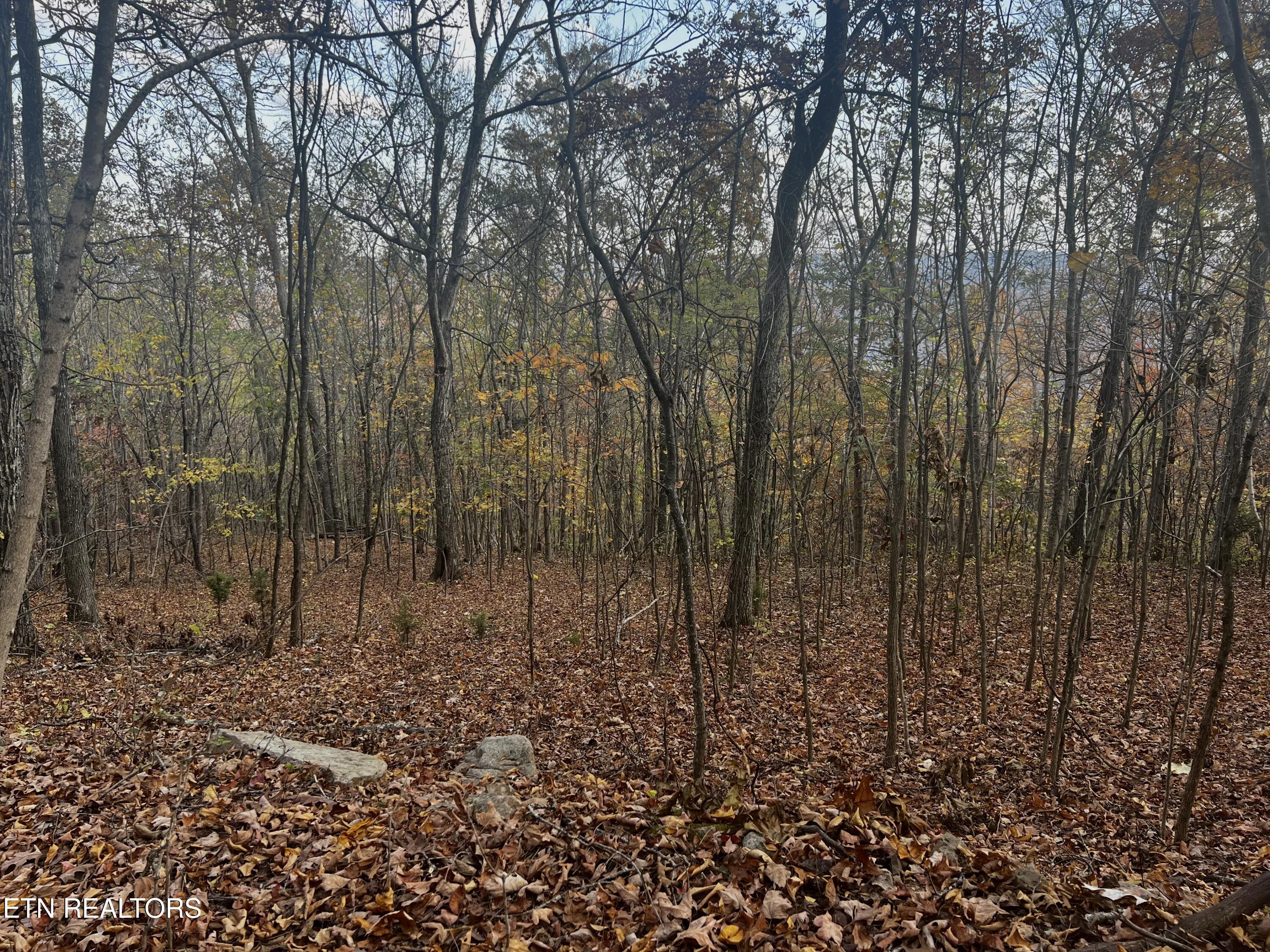 Lot 675 Chimney Rock Road New Tazewell, TN 37825 - Photo 18 of 44 Lot 675