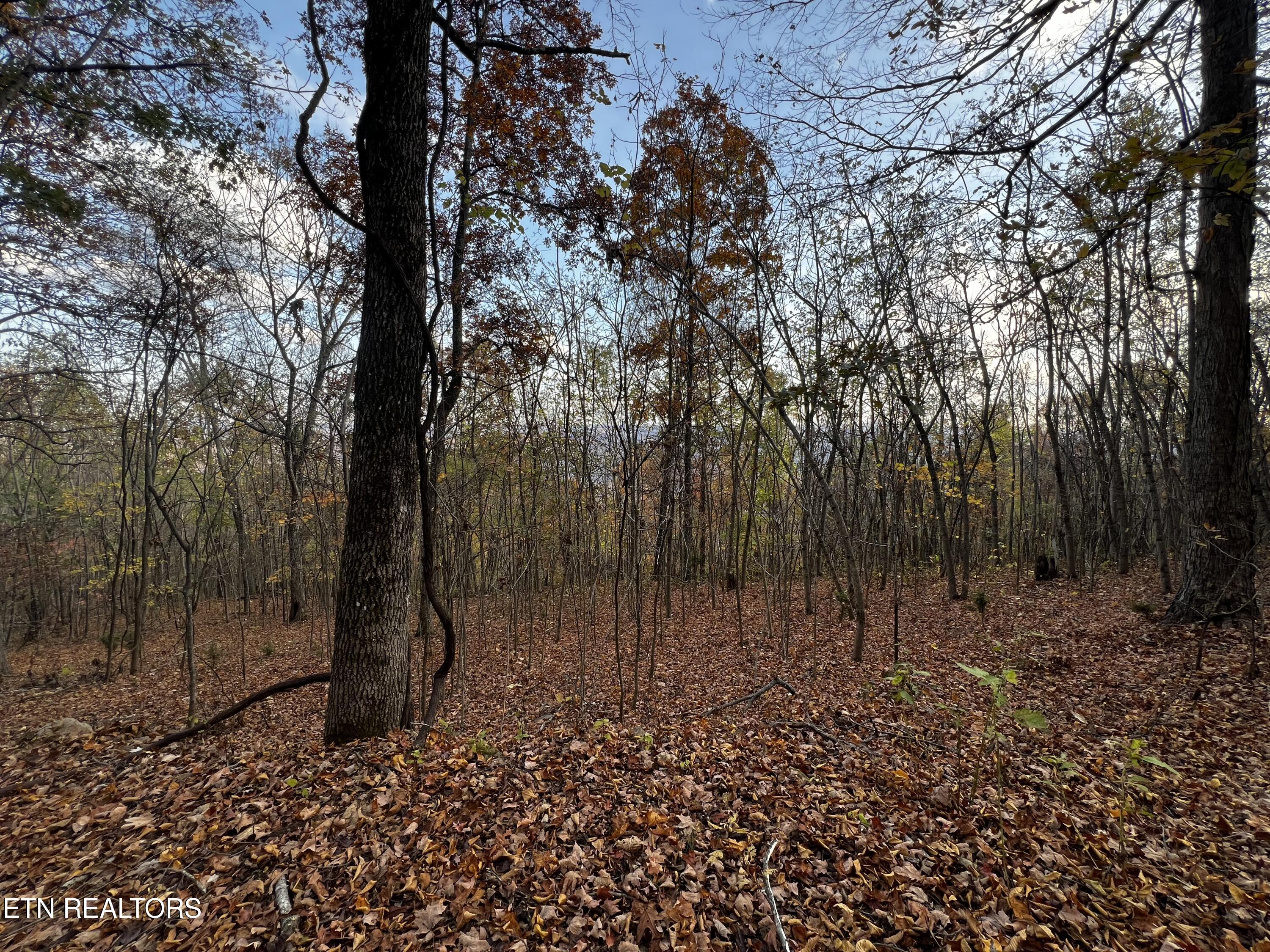 Lot 675 Chimney Rock Road New Tazewell, TN 37825 - Photo 19 of 44 Lot 675