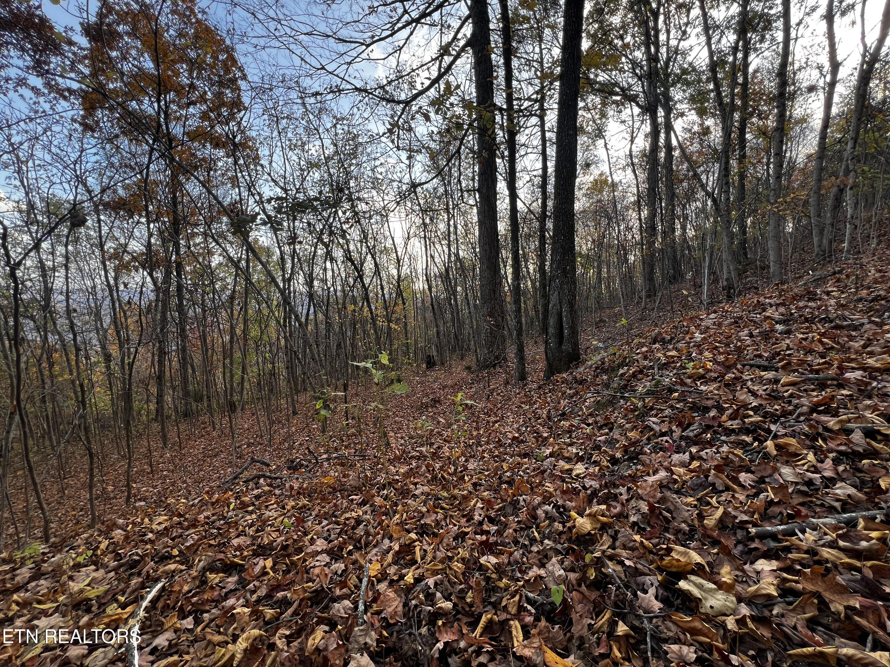 Lot 675 Chimney Rock Road New Tazewell, TN 37825 - Photo 20 of 44 Lot 675