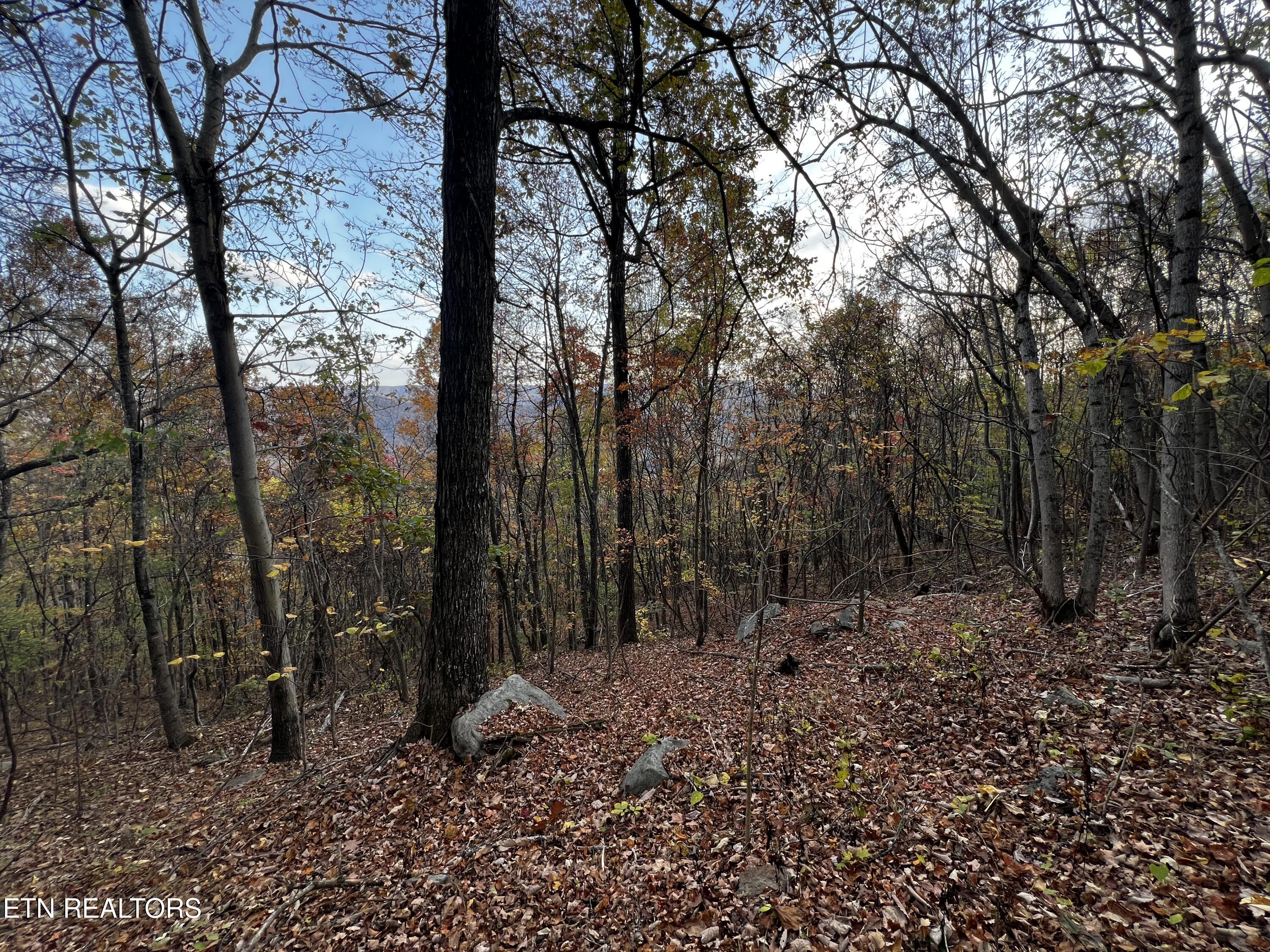 Lot 675 Chimney Rock Road New Tazewell, TN 37825 - Photo 2 of 44 Lot 675