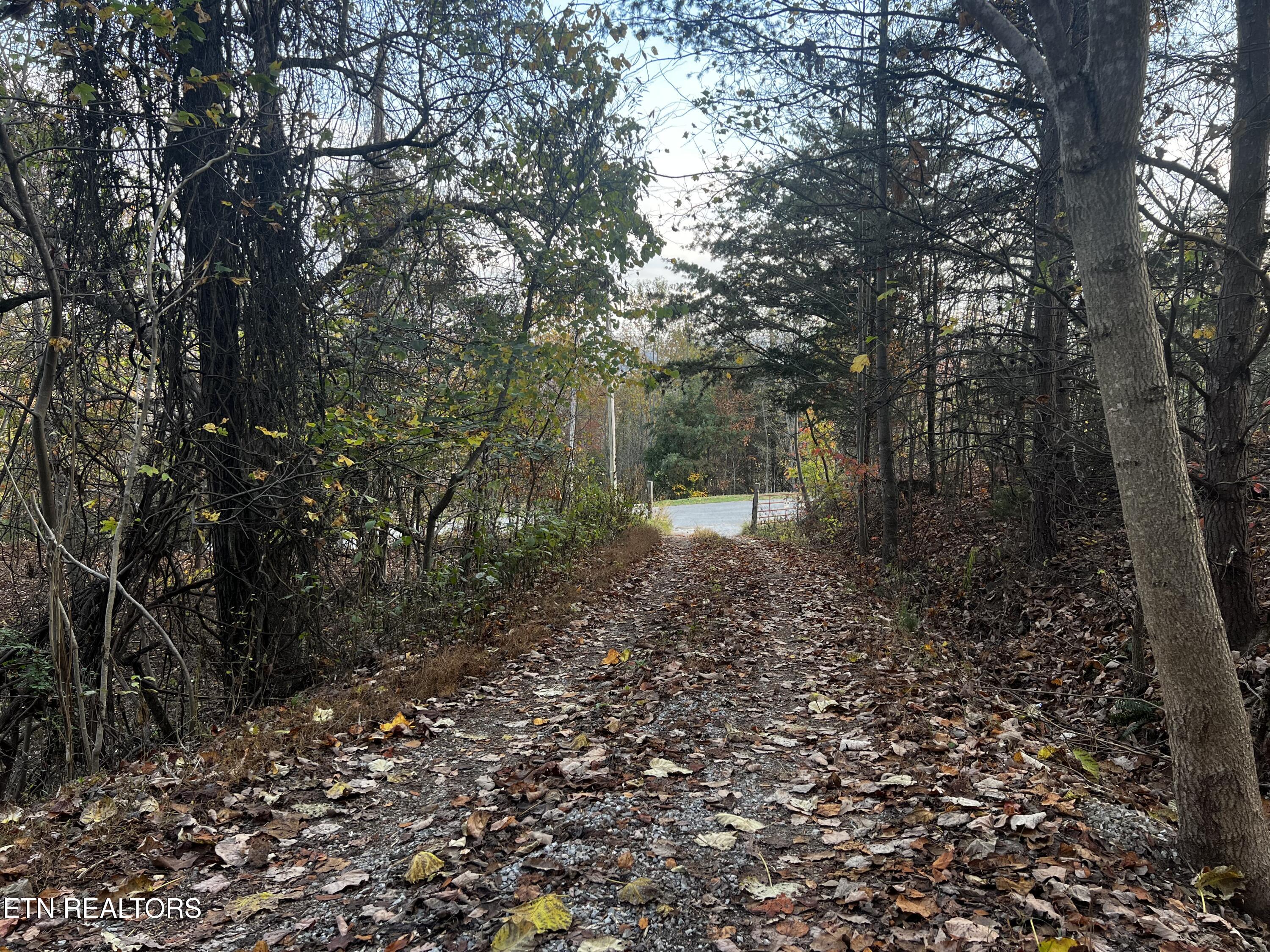 Lot 675 Chimney Rock Road New Tazewell, TN 37825 - Photo 24 of 44 Access Road to Lot 675