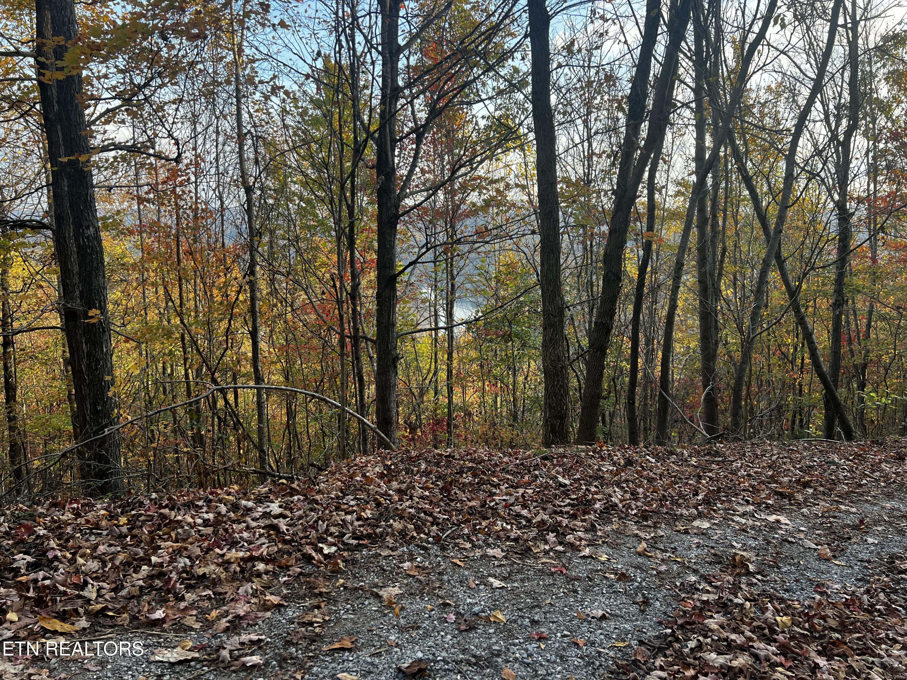 Lot 675 Chimney Rock Road New Tazewell, TN 37825 - Photo 25 of 44 View from access road