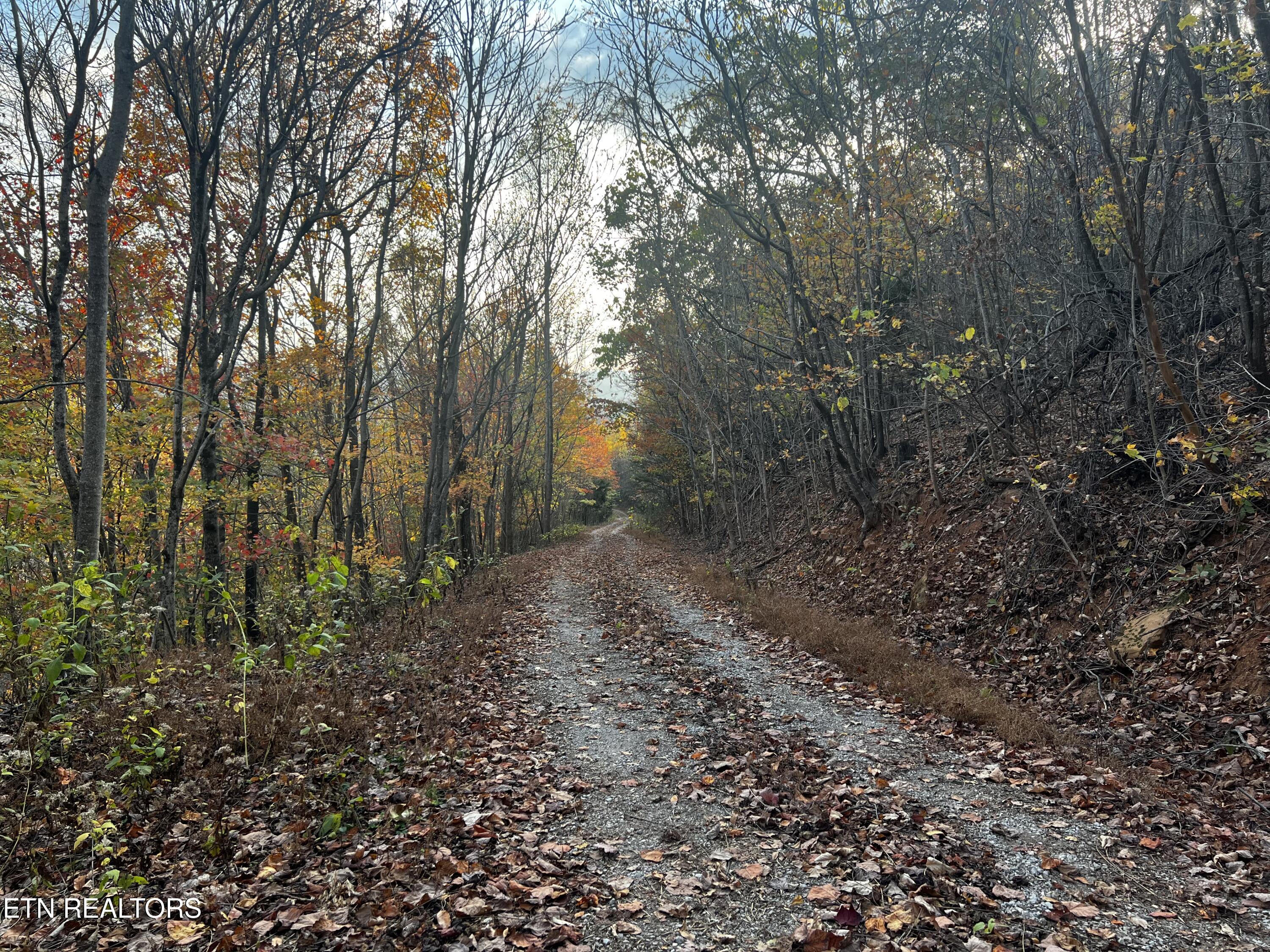 Lot 675 Chimney Rock Road New Tazewell, TN 37825 - Photo 26 of 44 Access Road