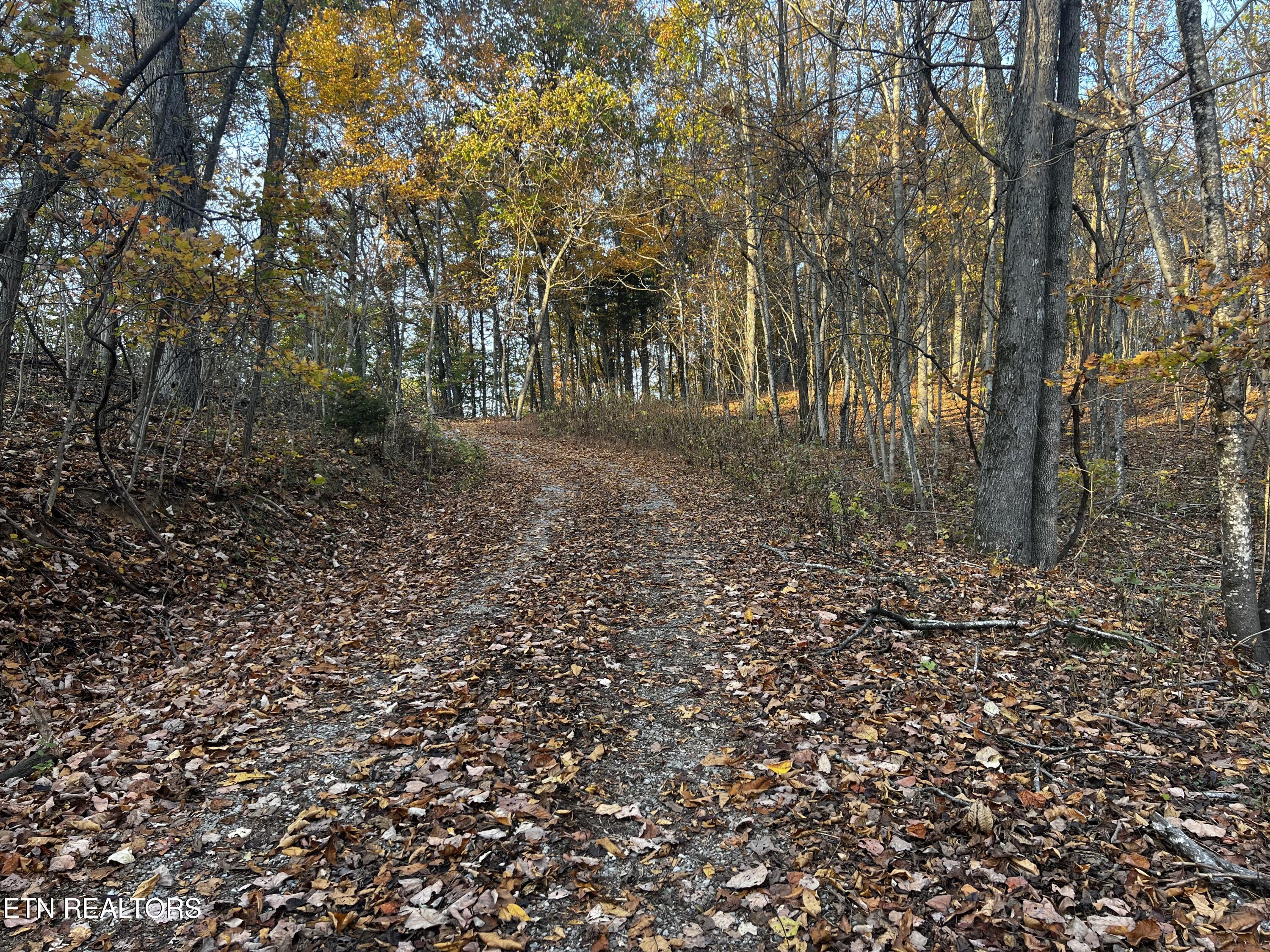 Lot 675 Chimney Rock Road New Tazewell, TN 37825 - Photo 27 of 44 Access Road