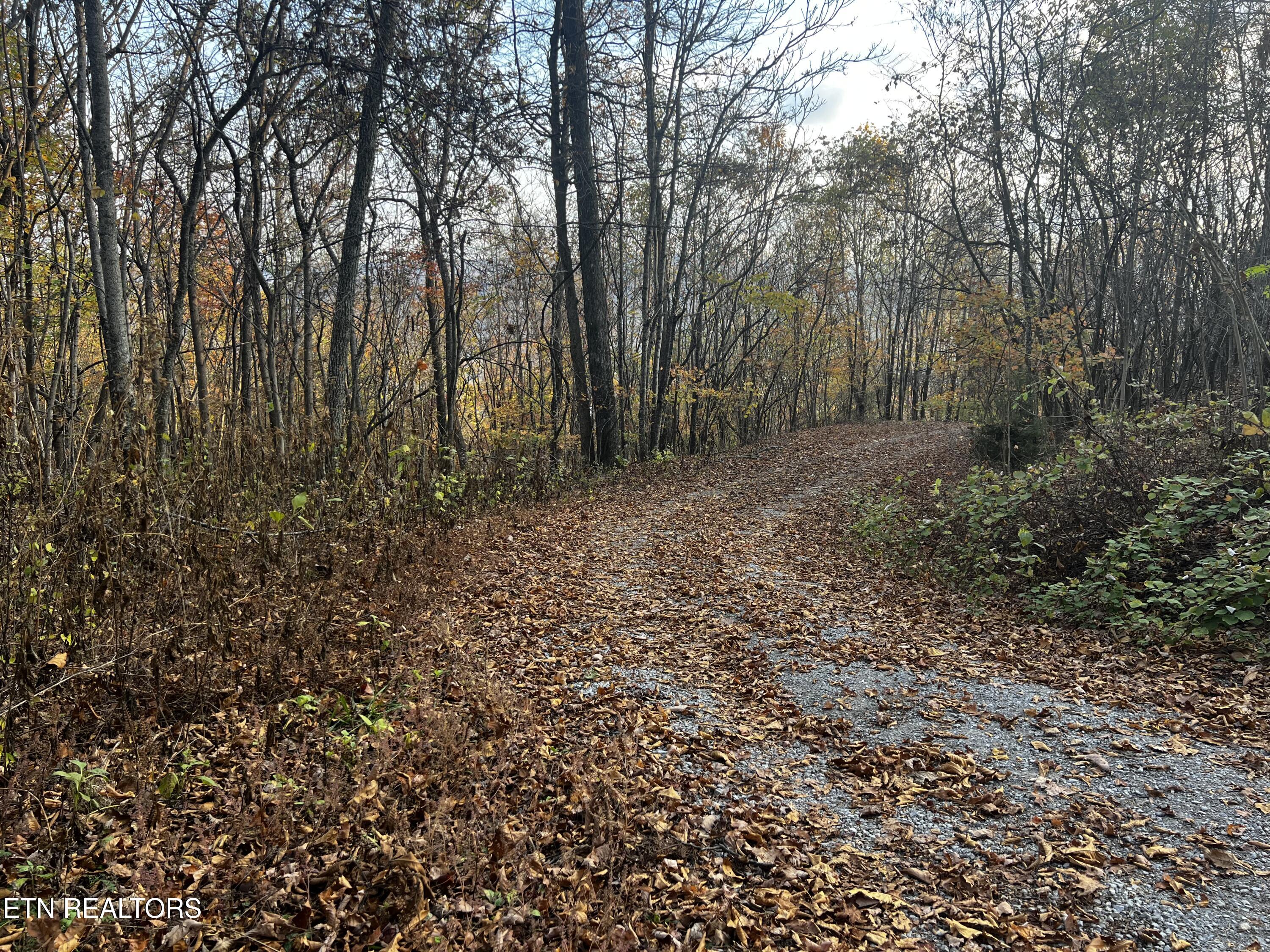 Lot 675 Chimney Rock Road New Tazewell, TN 37825 - Photo 28 of 44 Access Road