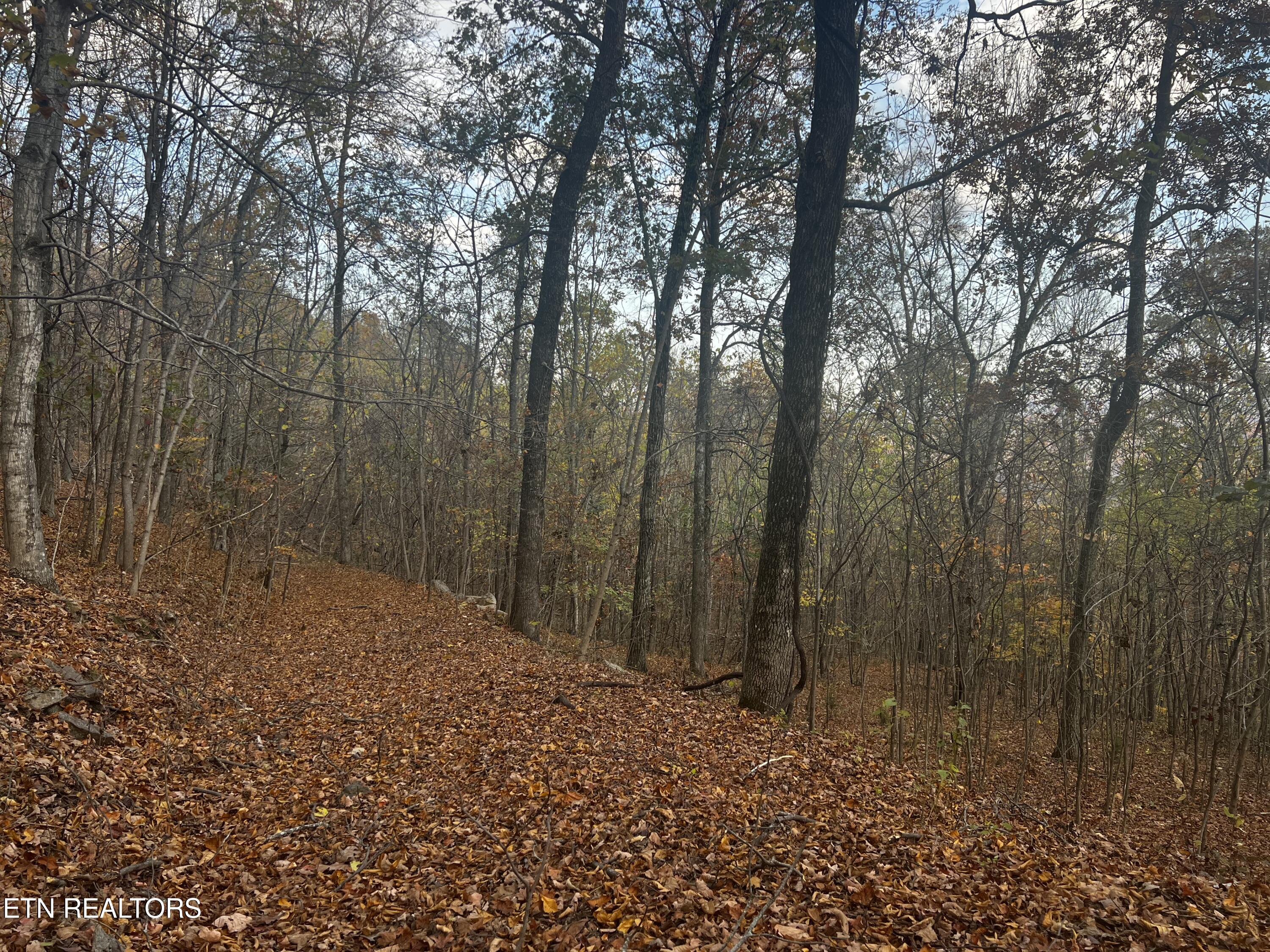 Lot 675 Chimney Rock Road New Tazewell, TN 37825 - Photo 29 of 44 Lot 675