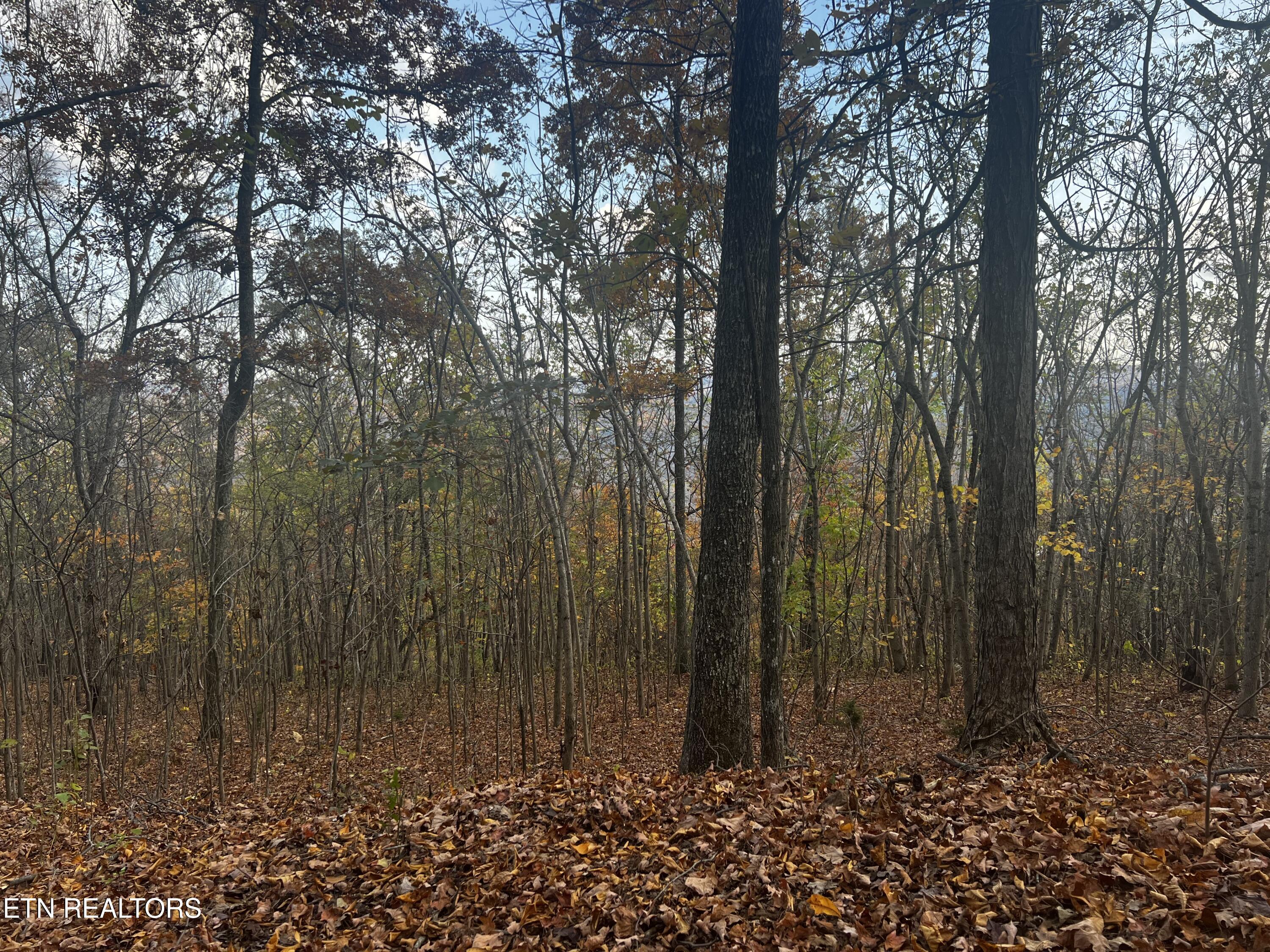Lot 675 Chimney Rock Road New Tazewell, TN 37825 - Photo 30 of 44 Lot 675
