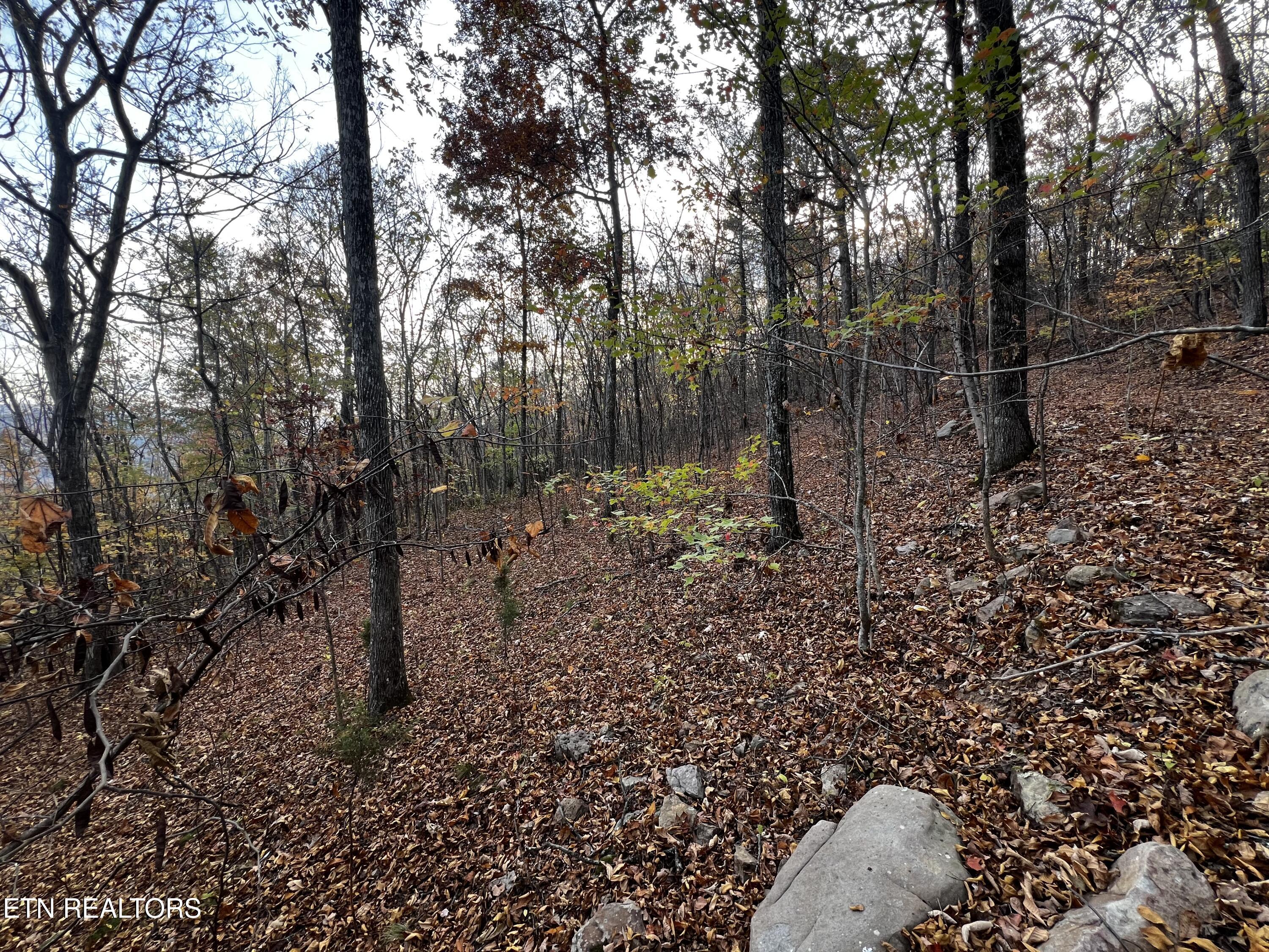Lot 675 Chimney Rock Road New Tazewell, TN 37825 - Photo 3 of 44 Lot 675