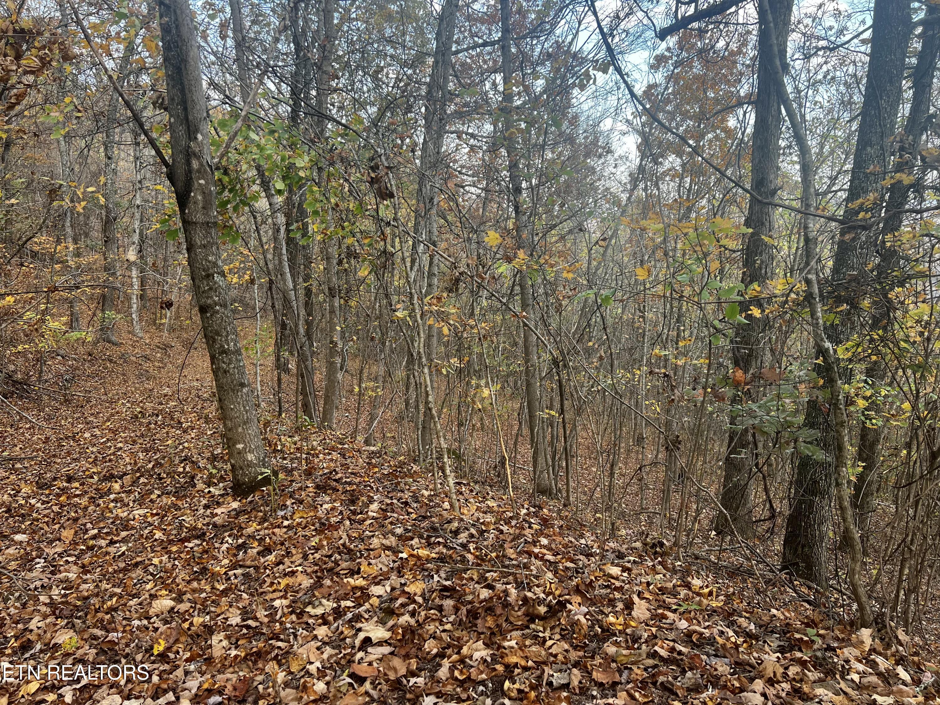 Lot 675 Chimney Rock Road New Tazewell, TN 37825 - Photo 31 of 44 Lot 675
